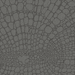 Web